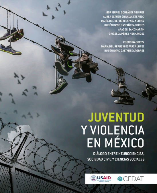 Juventud y Violencia en México